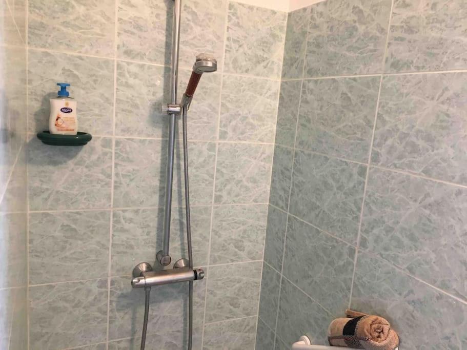 Saint-Germain-Nuelles Appartement 55M2 En Beaujolais & Enedis A 15 Min מראה חיצוני תמונה